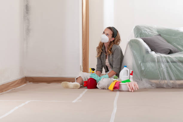 Reliable Mold Inspection And Testing contractor in Annandale, MN by 24 Hour Mold Removal